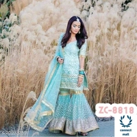 Aagyeyi Fabulous Sharara - 44
